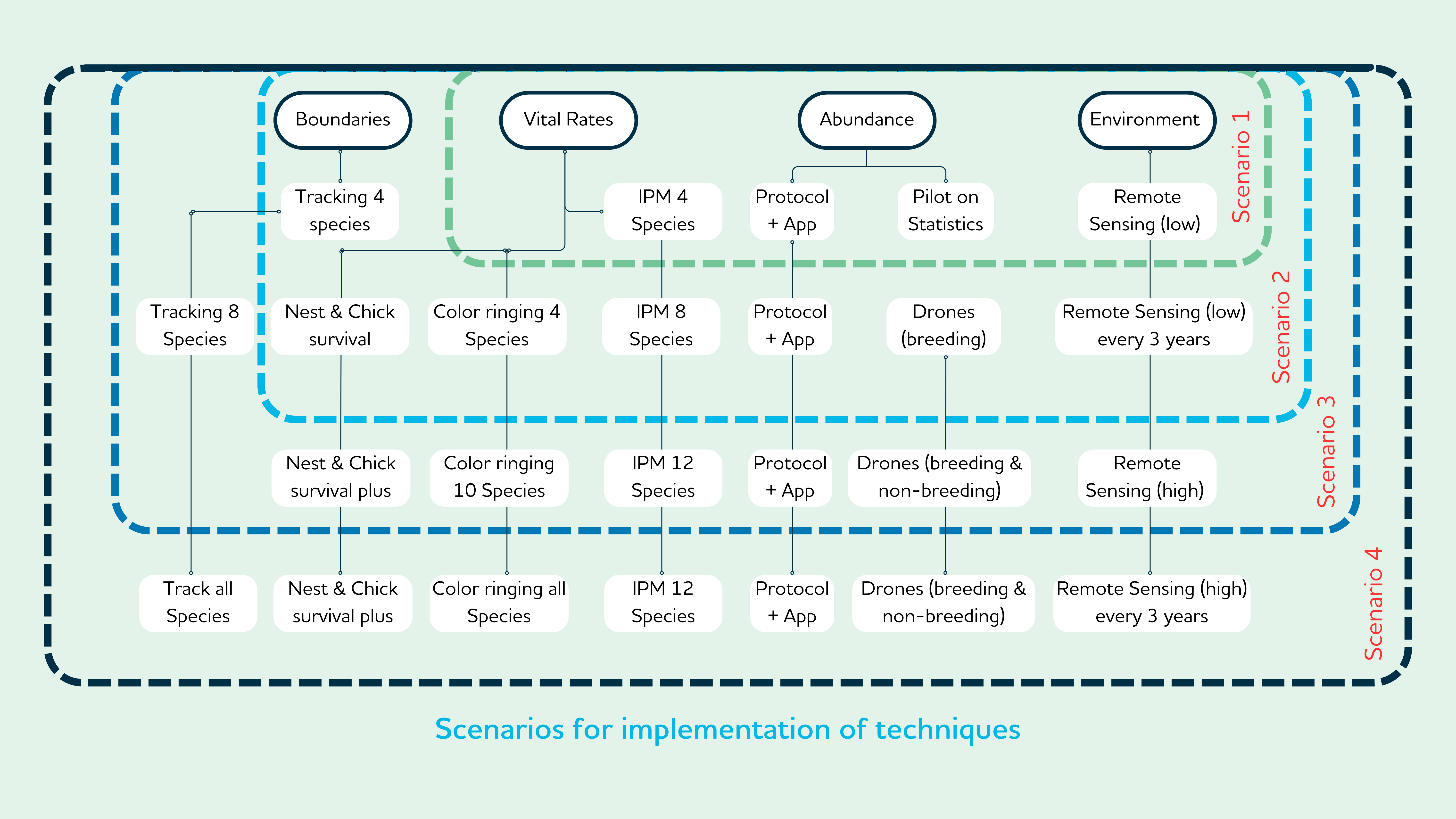 roadmap 