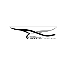 GREPOM BL Morocco
