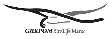 GREPOM-BirdLife Morocco