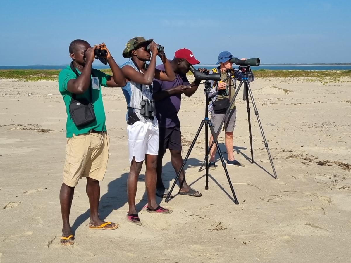 Waterbird counts in the Bijagos, Guinea-Bissau by Floor Arts