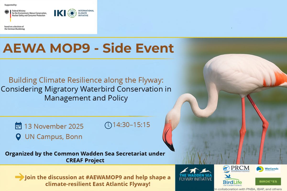  Promotional digital graphic for the AEWA MOP9 side event titled “Building Climate Resilience along the Flyway: Considering Migratory Waterbird Conservation in Management and Policy”. Design by CWSS/  © by Adobe