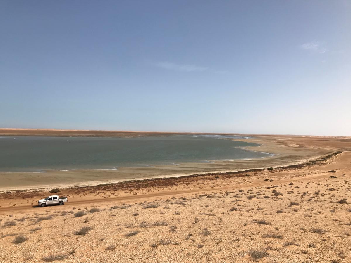 Wide view of the coastal landscape of the Banc d‘Arguin, with a shallow lagoon bordered by sandy shores.