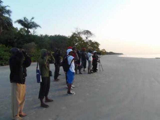 Guinea‐Bissau, 12‐19 January 2013