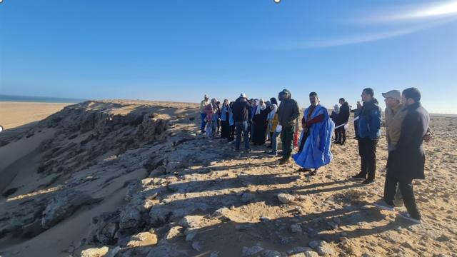 Waterbird monitoring in Morocco by Imad Cherkaoui