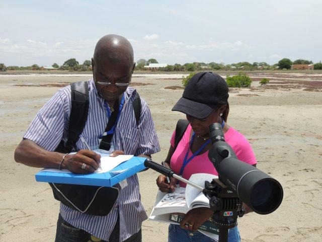 Bird Monitoring by Tim Dodman