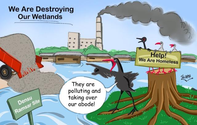 The illustration by artist Tilapia Da Cartoonist depicts the destruction of the Densu Wetland, a Ramsar site in Ghana, by human activities, including industrial activities and encroachment, making local birds homeless.
