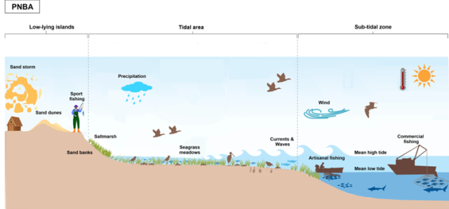 The schematic figure of the PNBA, showing a cross-section from land to sea, highlighting key model parameters.