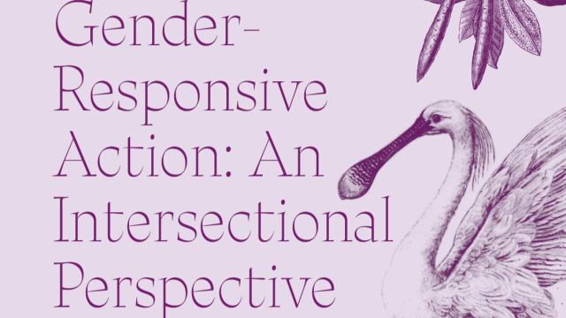 Cutout of cover page with the title and graphic of a spoonbill.