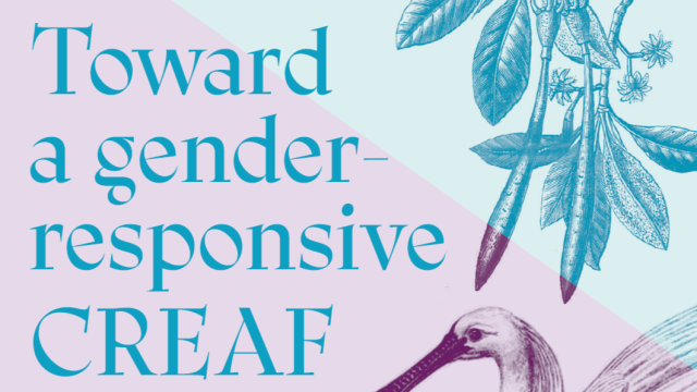 Cutout of cover page with the title and graphic of a spoonbill.