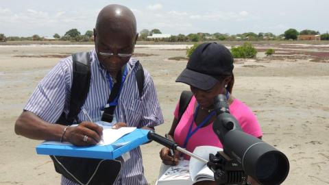 Training in bird monitoring by Tim Dodman