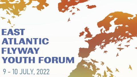 Cut-out of the publication cover with title and graphic of Europe and Africa dissolving into birds.