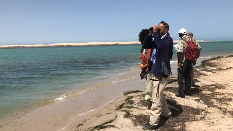 A couple of people standing on higher sand shore facing the ocean with bird watching gear.