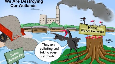 Illustration by Tilapia Da Cartoonist