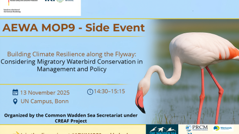  Promotional digital graphic for the AEWA MOP9 side event titled “Building Climate Resilience along the Flyway: Considering Migratory Waterbird Conservation in Management and Policy”. Design by CWSS/  © by Adobe