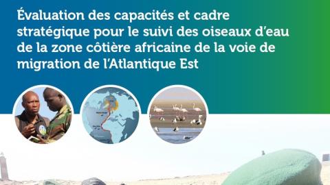 Cutout of cover page with the title and three small images: Two people outside over guidebook talking, a map displaying the route of the East Atlantic Flyway, Flock of Greater Flamingos & Lesser Black-backed Gulls