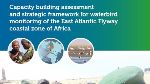 Cutout of cover page with the title and three small images: Two people outside over guidebook talking, a map displaying the route of the East Atlantic Flyway, Flock of Greater Flamingos & Lesser Black-backed Gulls