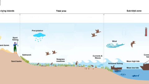The schematic figure of the PNBA, showing a cross-section from land to sea, highlighting key model parameters.