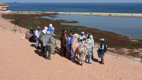 Local staff from Mauritania and Morocco being trained in bird monitoring along the coasta of Cape Blanc, Mauritania. 