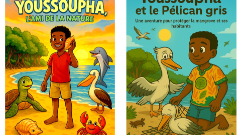 Front pages of the new comic book