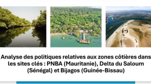 Three photos in a row, showing Senegal, Guinea Bissau and Mauritania