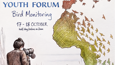 EAFYF poster 2026